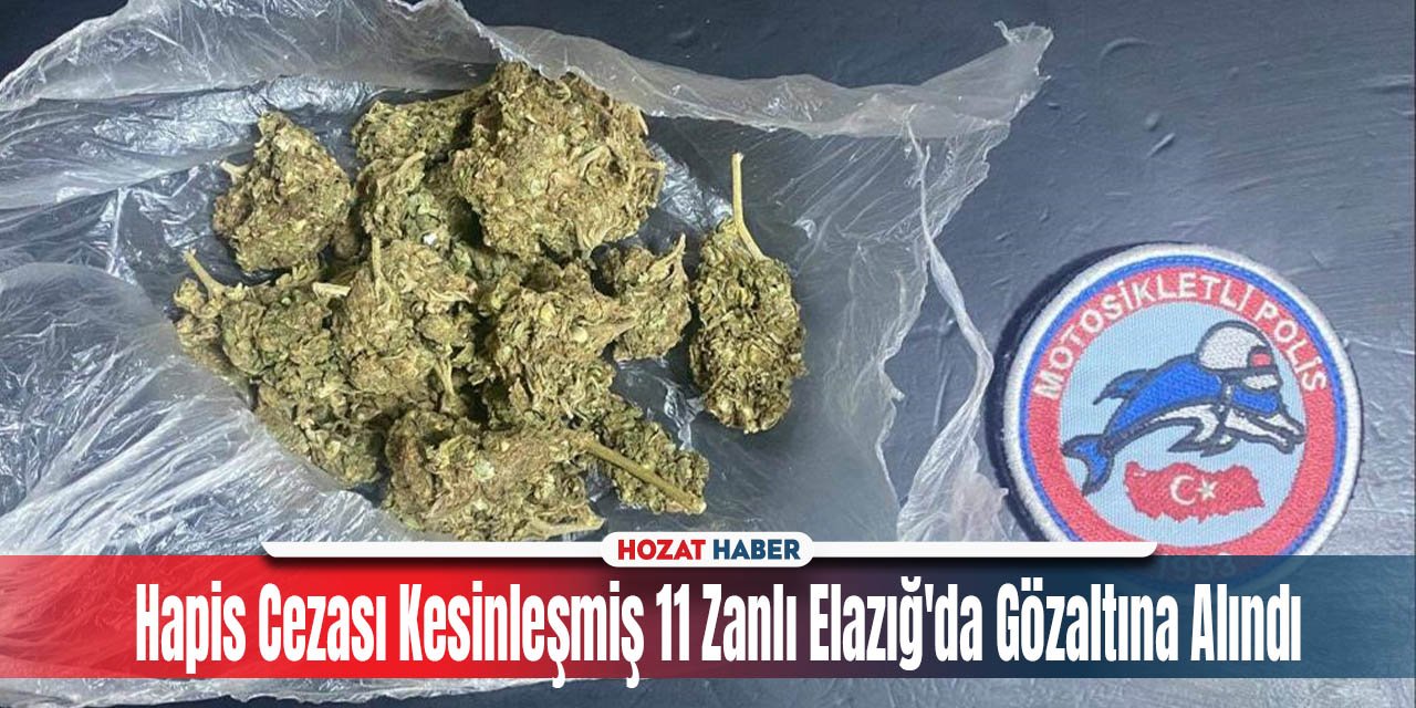 Hapis Cezası Kesinleşmiş 11 Zanlı Elazığ'da Gözaltına Alındı