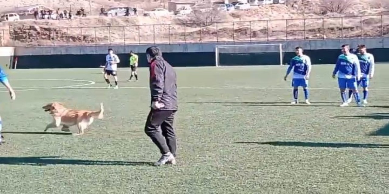 Futbol Sahasının Beklenmedik Oyuncusu: Malatya'da Köpek Maçı Durdurdu