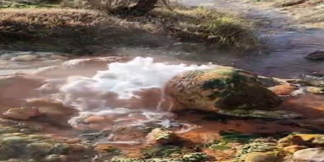 Karakoçan'ın Termal Harikası: Golan Kaplıcaları'nda Jeotermal Su Damarı Sürprizi!