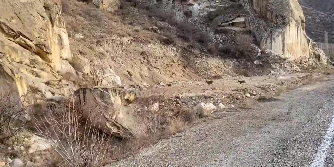 Sıradışı Trafik Olayı: Erzurum-Artvin Yolunda Keçiler Yola İndi, Sürücüler Tedirgin