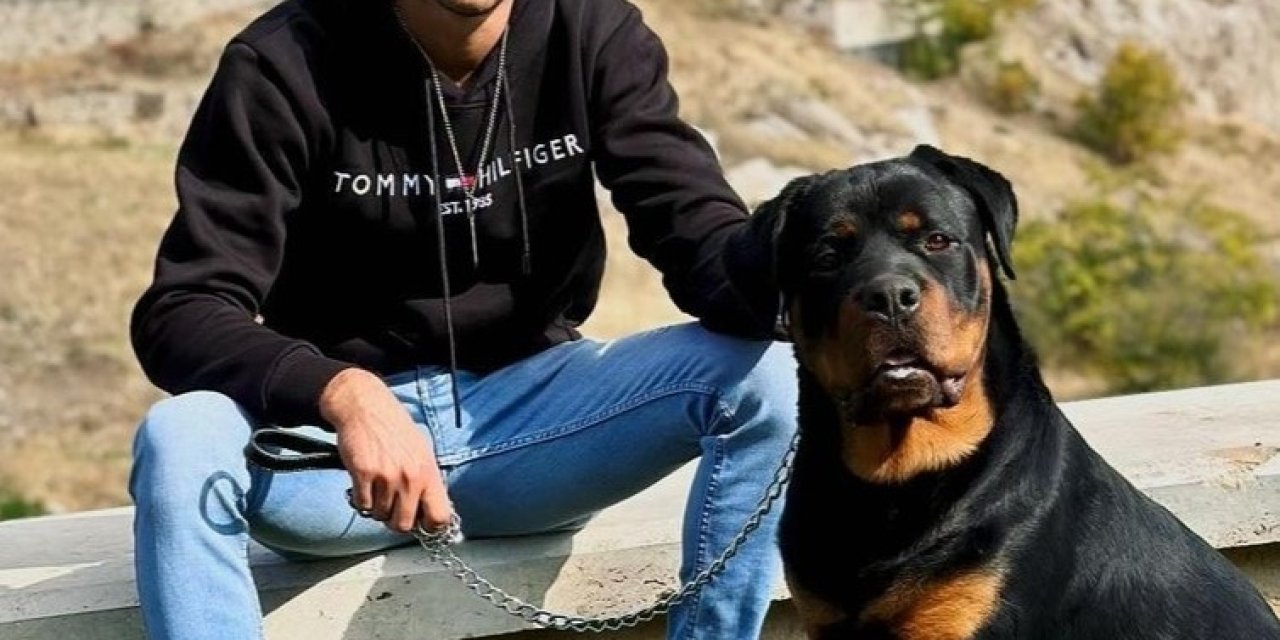 Elazığ'da Dramatik Kayıp: Mahmut Gecekuşu'nun Rottweiler'ı 'Vigo' 9 Gündür Kayıp!