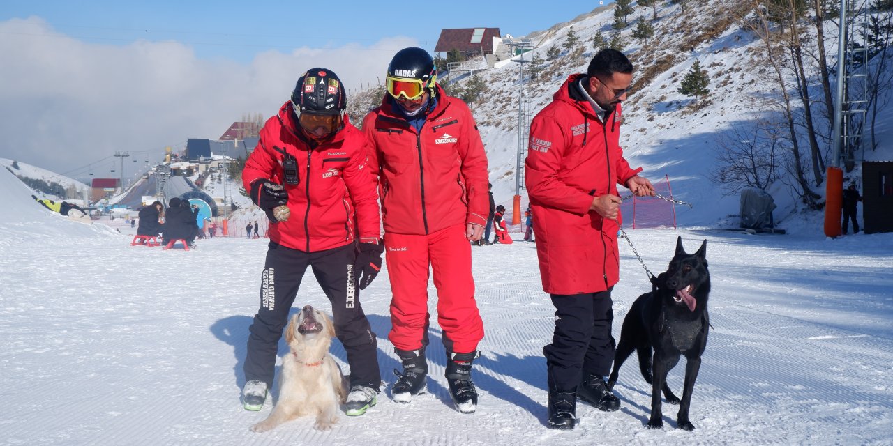 Palandöken Kayak Merkezi'nde Zeki Köpek Duo: Hera ve Haydut