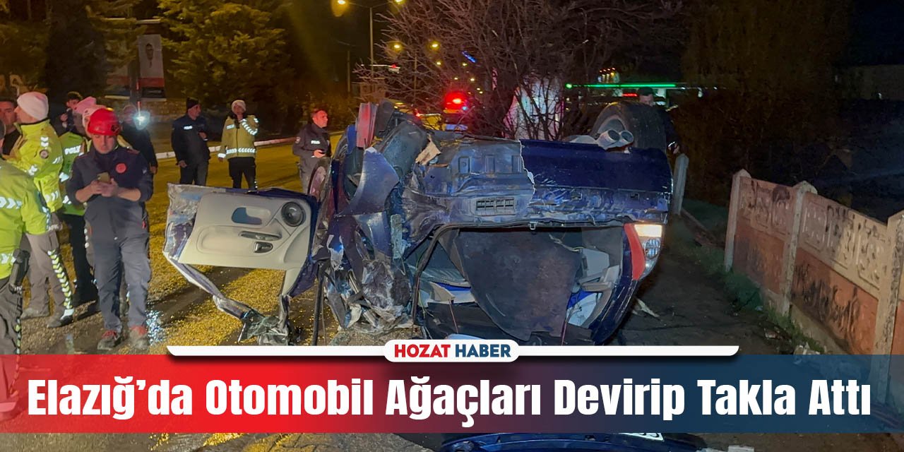 Elazığ'da Ters Dönen Otomobil Faciası: Kaldırımdaki Ağaçlar Yıkıldı, 2 Kişi Ağır Yaralı