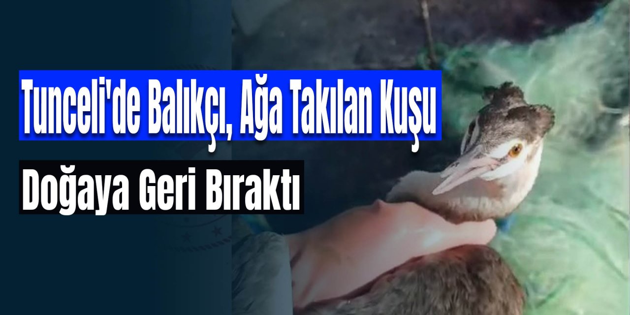 Tunceli'de Balıkçı, Ağa Takılan Kuşu Doğaya Geri Bıraktı