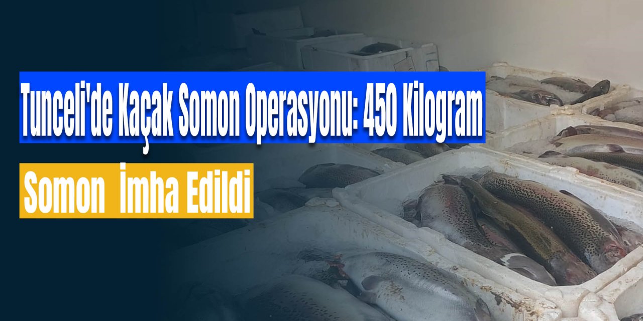 Tunceli'de Kaçak Somon Operasyonu: 450 Kilogram Somon  İmha Edildi