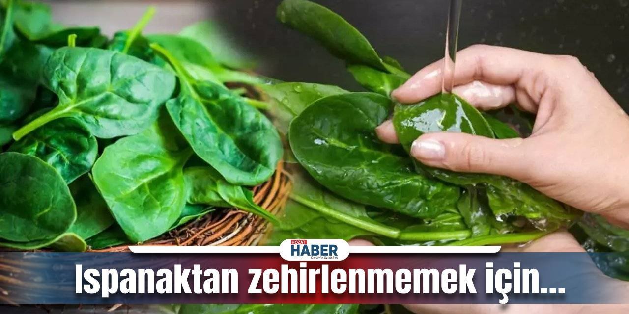 Ispanağı böyle temizlemeyenler, soluğu hastanede alıyor: Ispanaktan zehirlenmemek için…