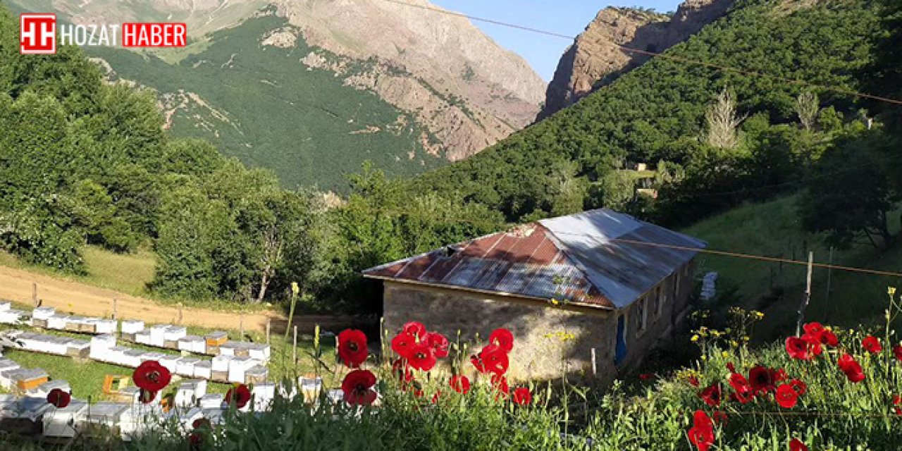 Haziran Ayında Gelen Bahar: Pülümür Rengârenk