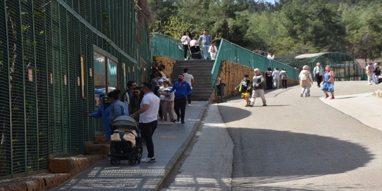 Gaziantep'teki hayvanat bahçesi 9 günde yüz bin kişiyi ağırladı