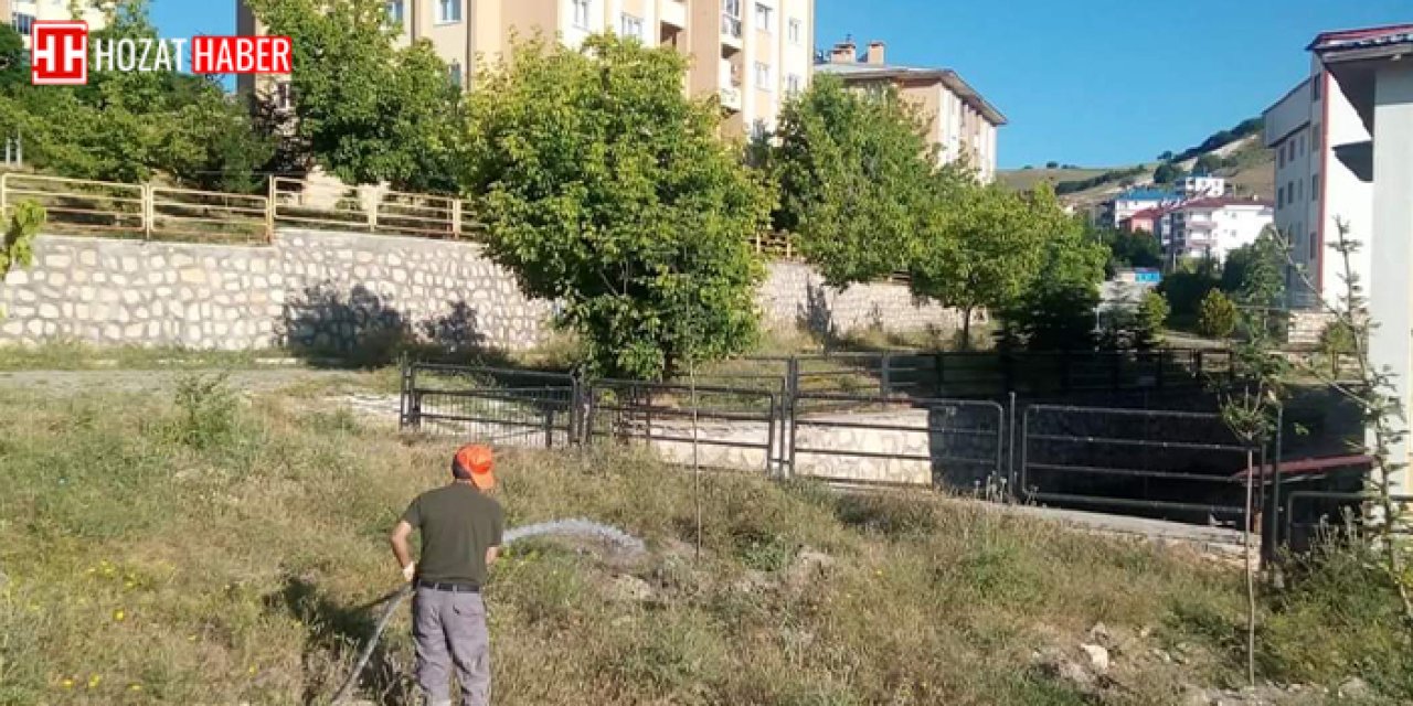 "Fidan Sulama ve Bakım Çalışmaları İlçede Başarıyla Sürüyor"