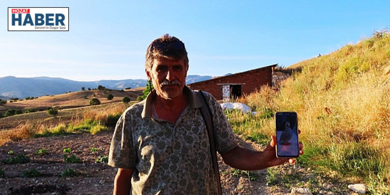 Tunceli'de kaybolan kekliği bulana bin lira ödül