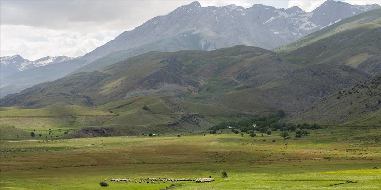 Tunceli’deki Goman Yaylası doğa tutkunlarını ağırlıyor