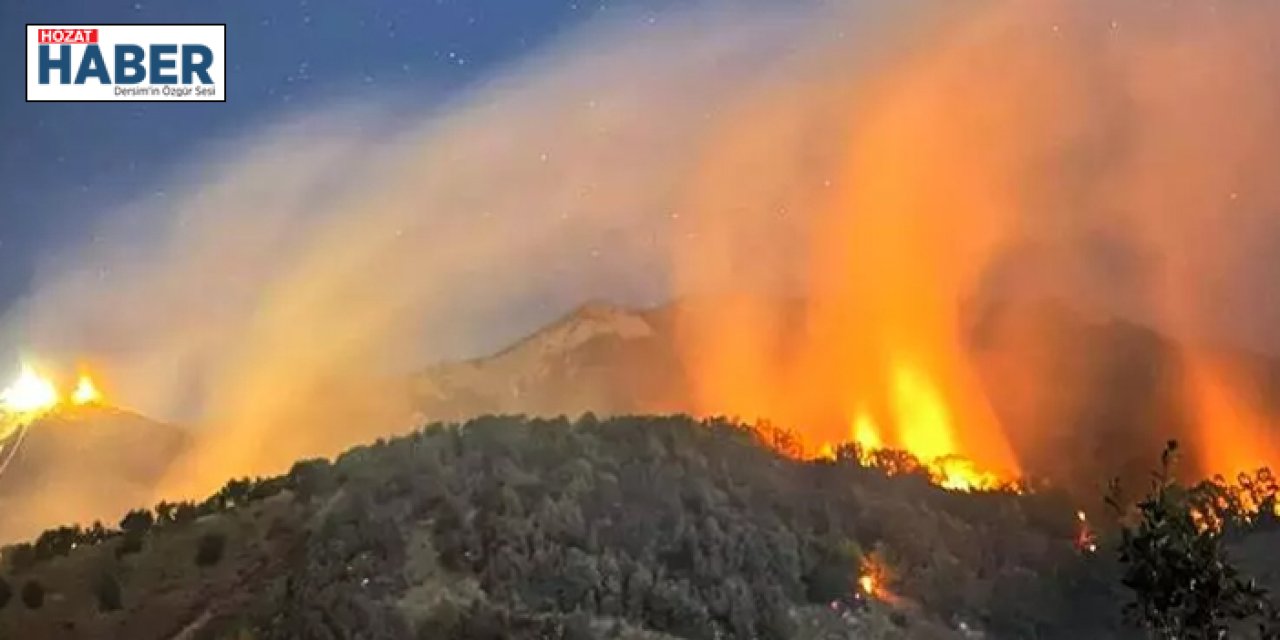 Tunceli'de ormanlık alanda çıkan yangın söndürüldü