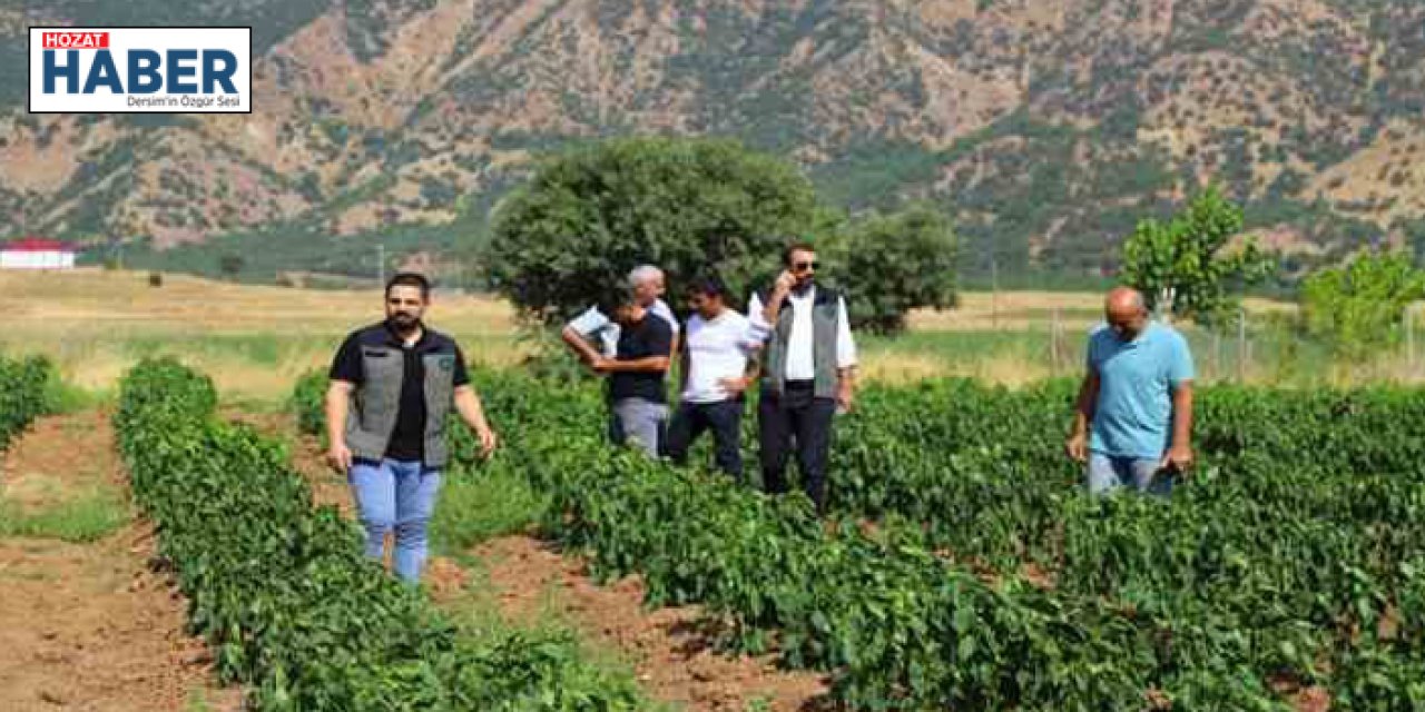 Bingöl'de sebze fideleri ile silajlık mısırlar denetlendi