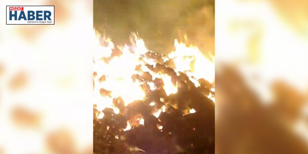 Tunceli'de Samanlık Yangını Panik Yarattı