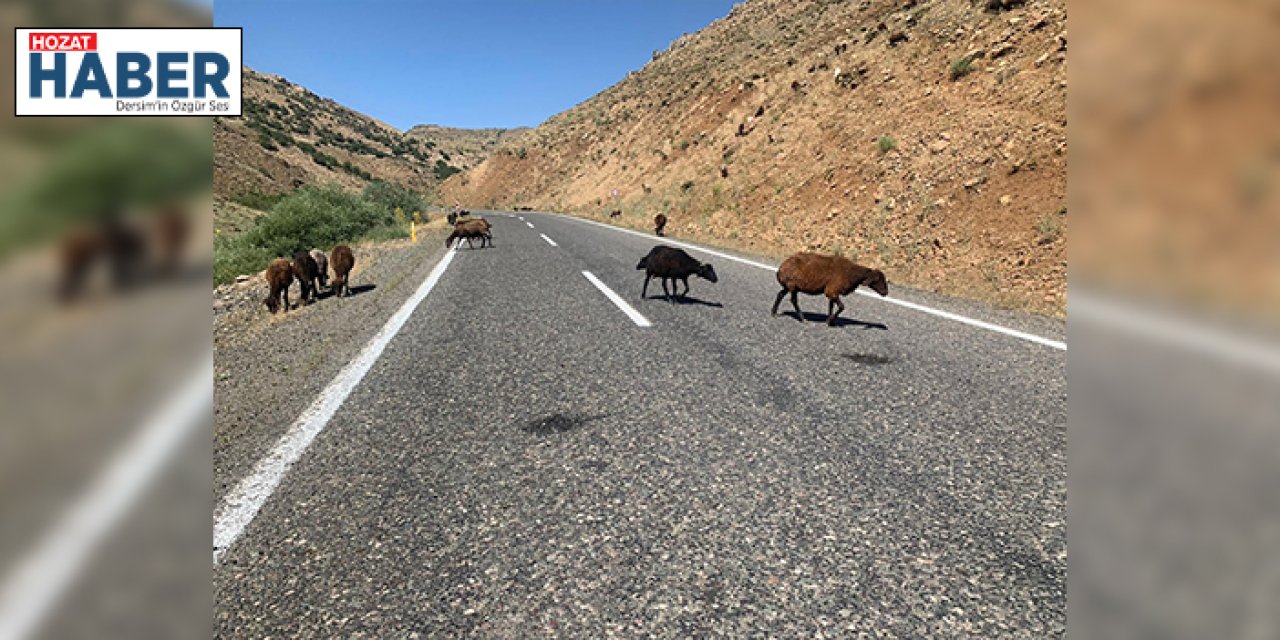 Erzurum Valiliğinden ceza açıklaması