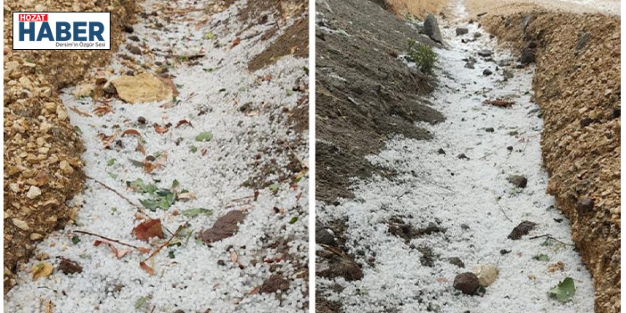 Ağustos Ayında Dolu Şoku: Tunceli’de Bahçeler Zarar Gördü