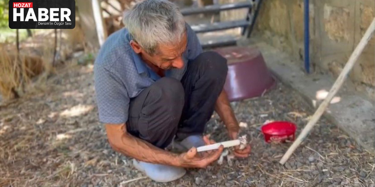 Annesiz kalan yavru kedileri şırınga ile besliyor