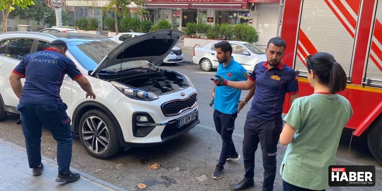 Kedinin Motor Macerası: İtfaiye Kurtardı