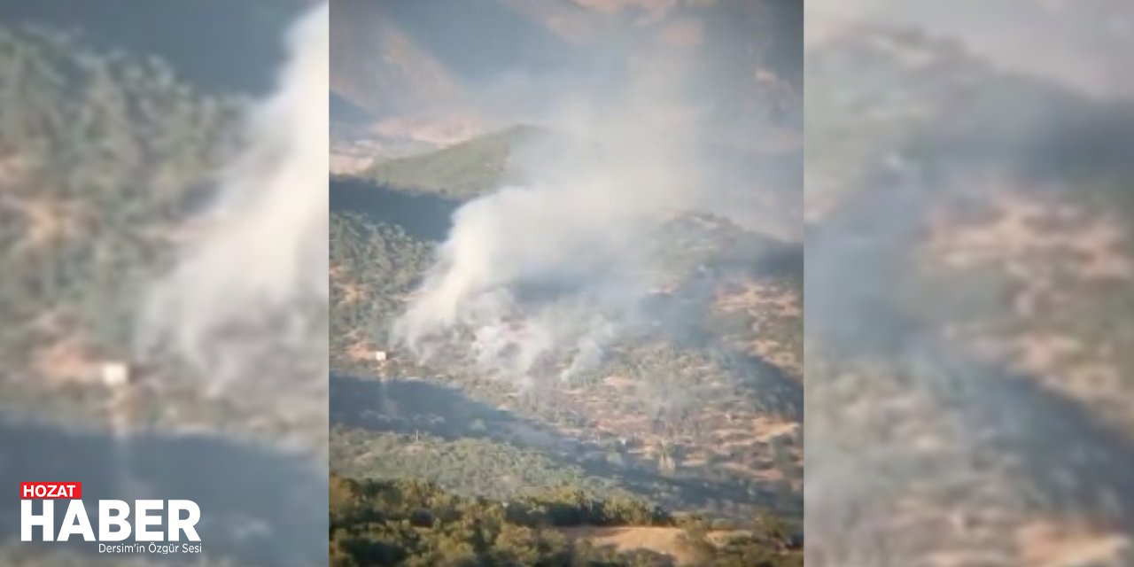 Tunceli'de Orman Yangını Alarmı