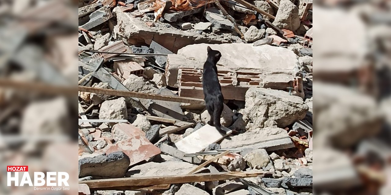 Malatya'da Enkaz Altındaki Yavru Kedi, İtfaiye Tarafından Kurtarıldı!