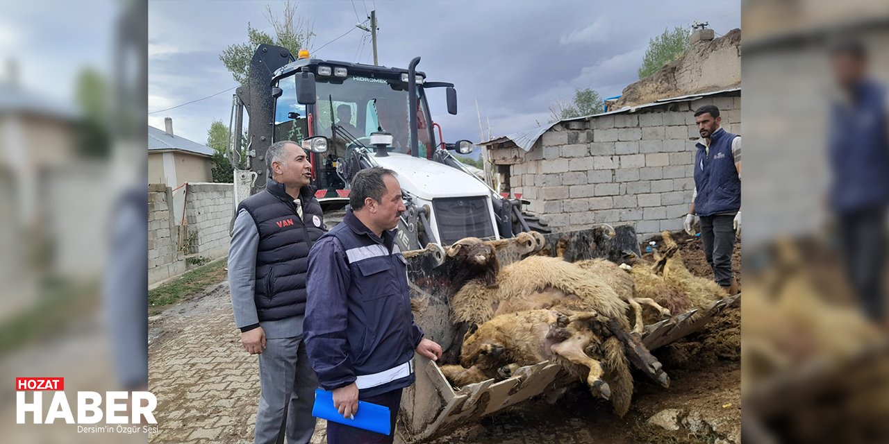 Ahıra girdiğinde 130 koyunu telef olmuş halde buldu