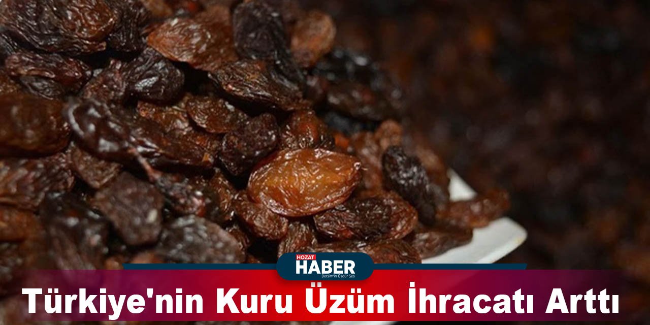 Türkiye'nin Kuru Üzüm İhracatı Arttı