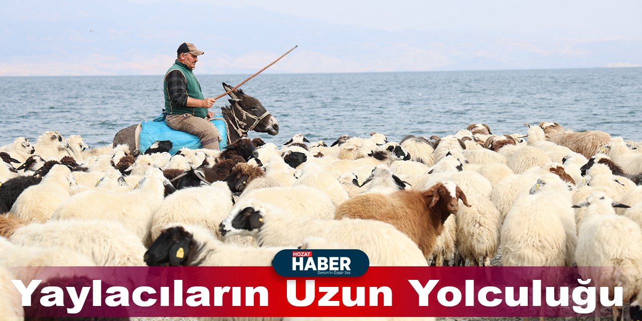 Yaylacıların Uzun Yolculuğu