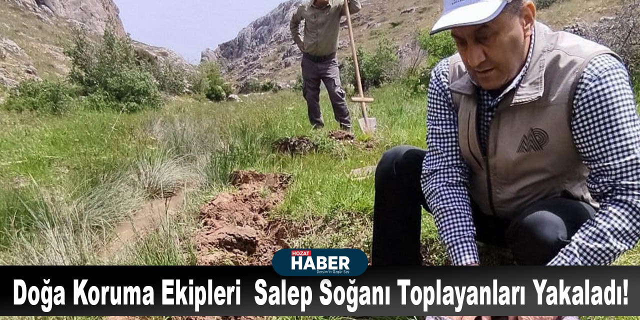 Doğa Koruma Ekipleri Elazığ'da Salep Soğanı Toplayanları Yakaladı!