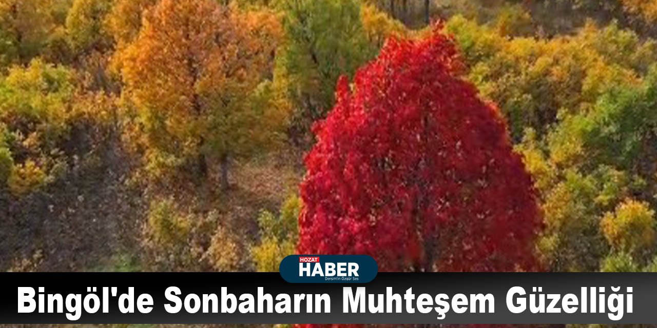 Bingöl'de Sonbaharın Muhteşem Güzelliği