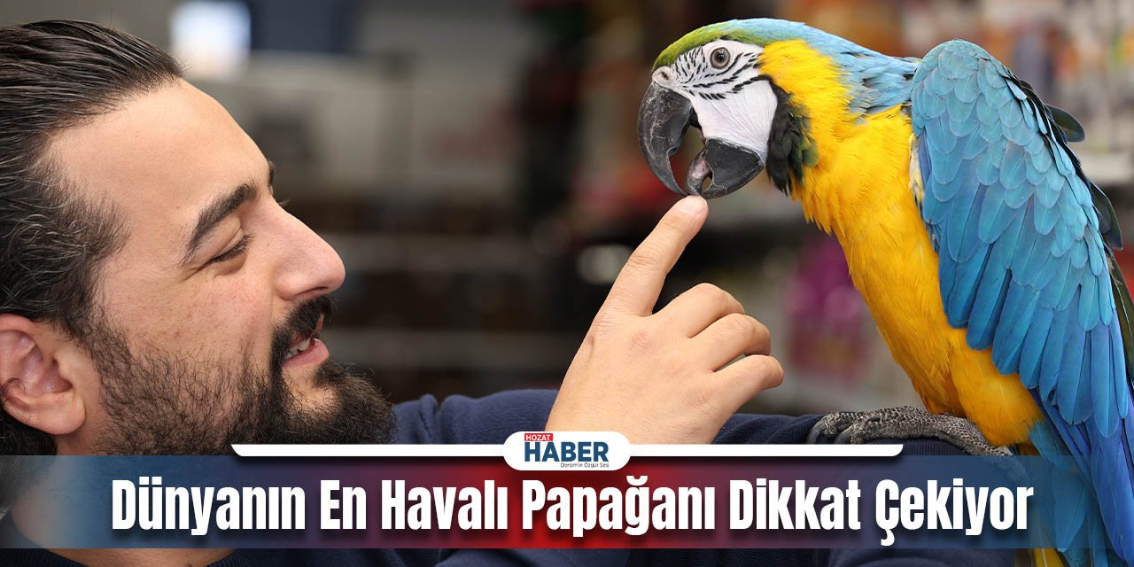 Evcil Papağan Tutkunları 'Dayı'ya Hayran