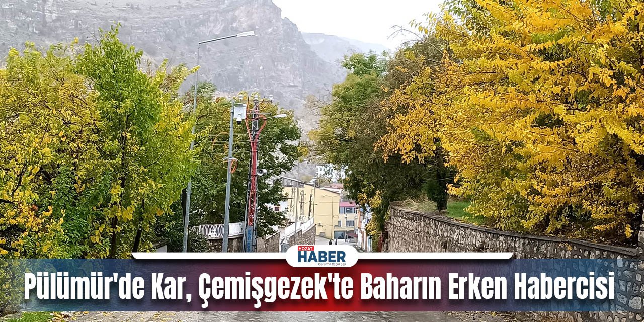 Pülümür'de Kar, Çemişgezek'te Baharın Erken Habercisi