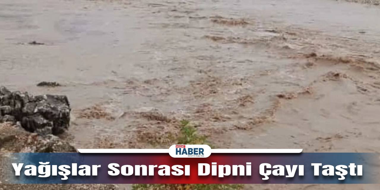 Şiddetli Yağışlar Sonrası Dipni Çayı Coştu