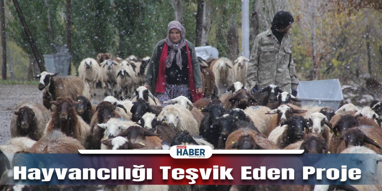 Kadın Girişimcilerin Gücü,Küçükbaş Hayvancılığına Büyük Destek