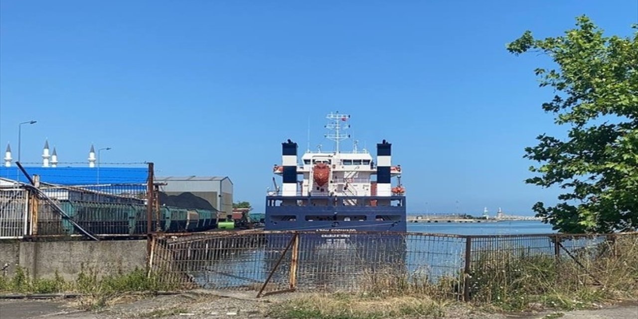 Zonguldak'ta yük gemisinde mayın paniği