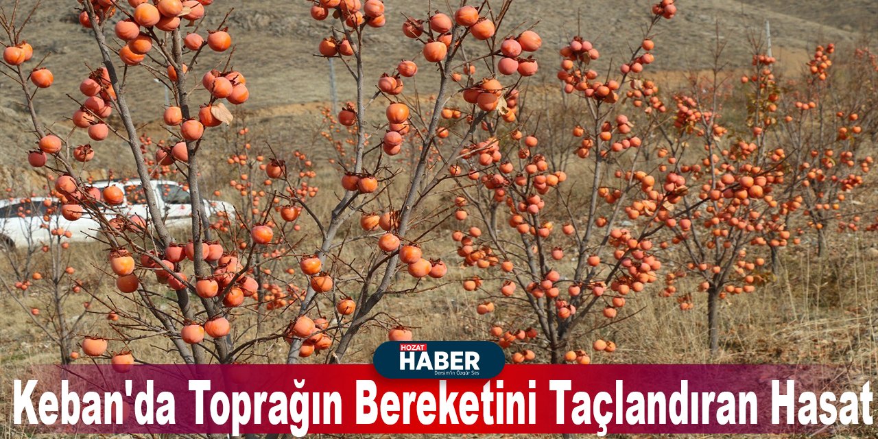 Keban'da Toprağın Bereketini Taçlandıran Hasat