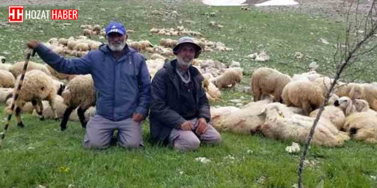 "Erzincan'da Besiciler Göçmen Çobanları Tercih Ediyor: Çobanlık Mesleğinin Geleceği Endişe Verici"