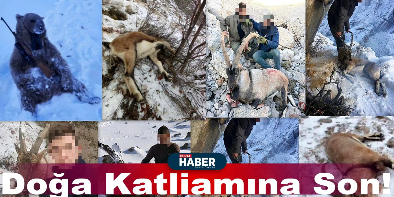 Erzincan'da Doğa Katliamına Son! İşte Detaylar