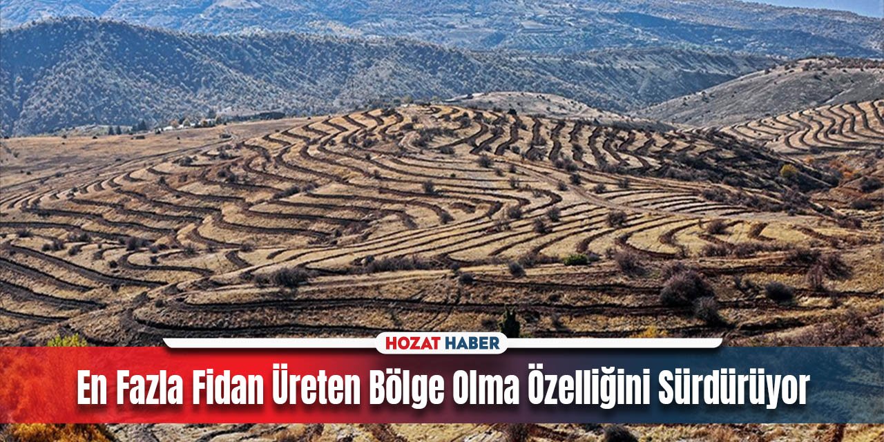 Tunceli'de  6 Bin 870 Hektar Bozkır, 8 Milyon 150 Bin Fidanla Yeşilleniyor"