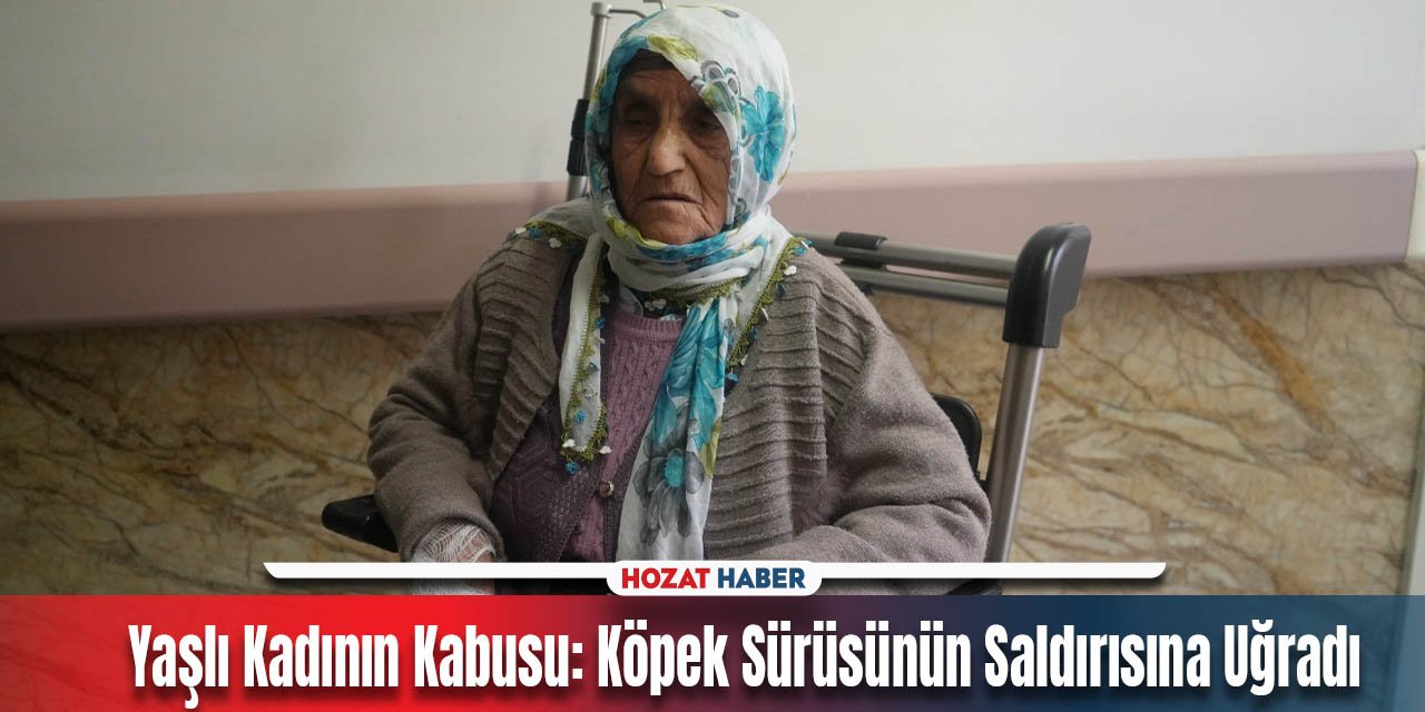 Köpeklerin Saldırısına Uğrayan 79 Yaşındaki Kadın Hastaneye Kaldırıldı