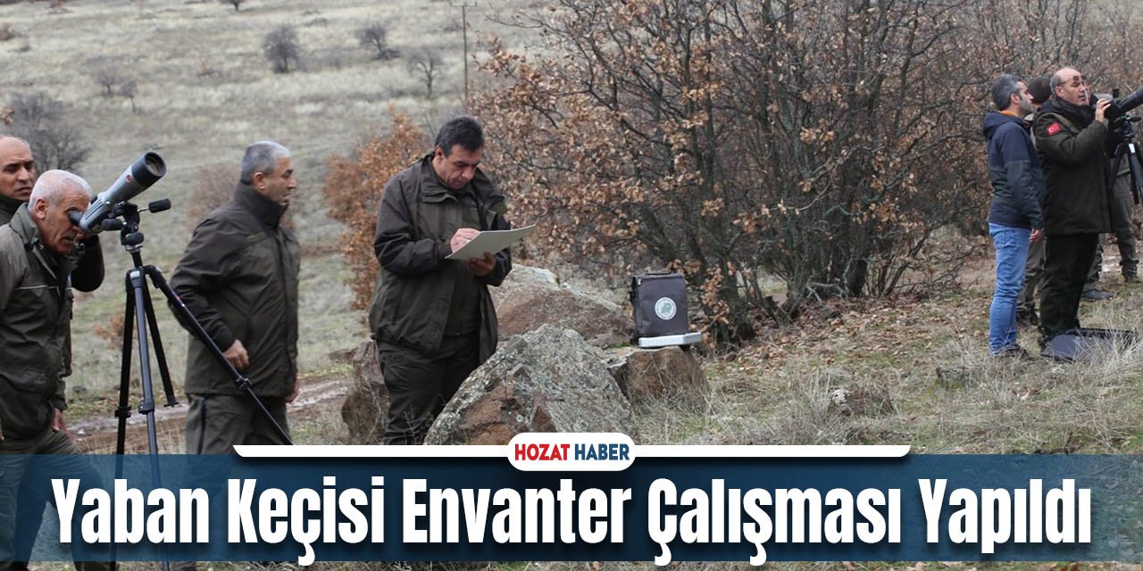 Yaban Keçisi Envanter Çalışması Yapıldı