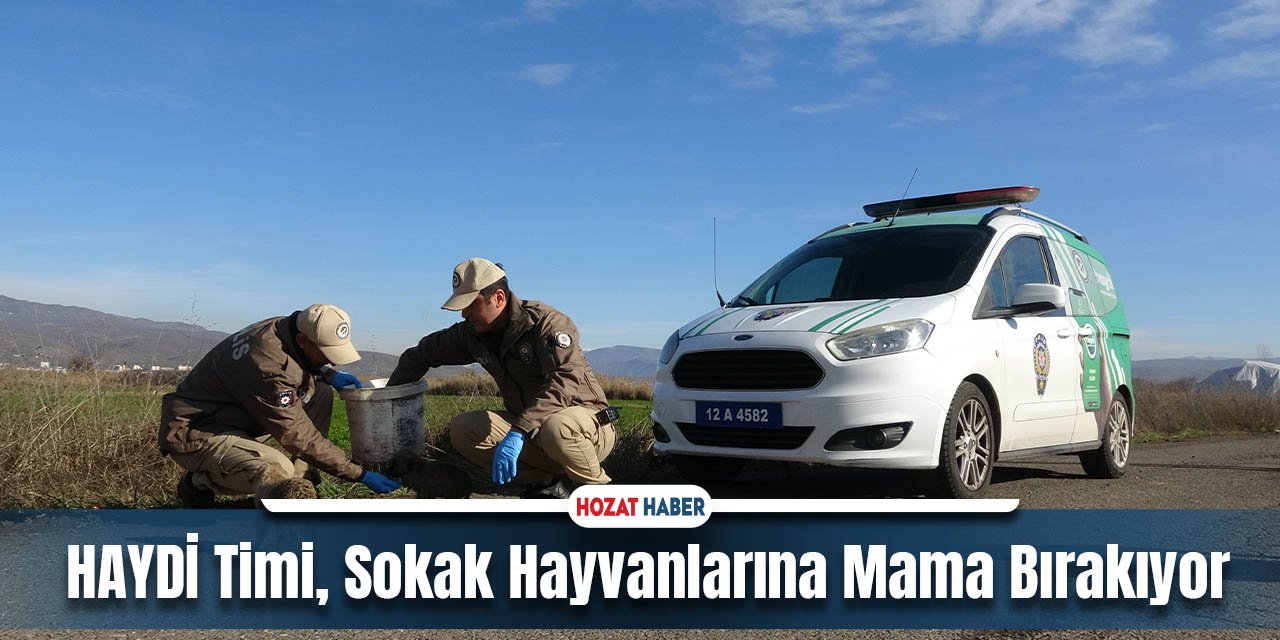 HAYDİ Timi, Sokak Hayvanlarına Mama Bırakıyor