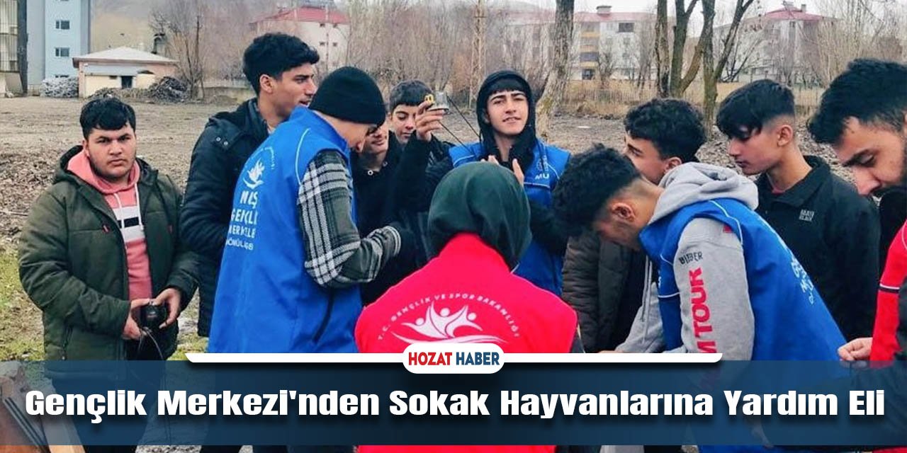 Gençlik Merkezi'nden Sokak Hayvanlarına Yardım Eli