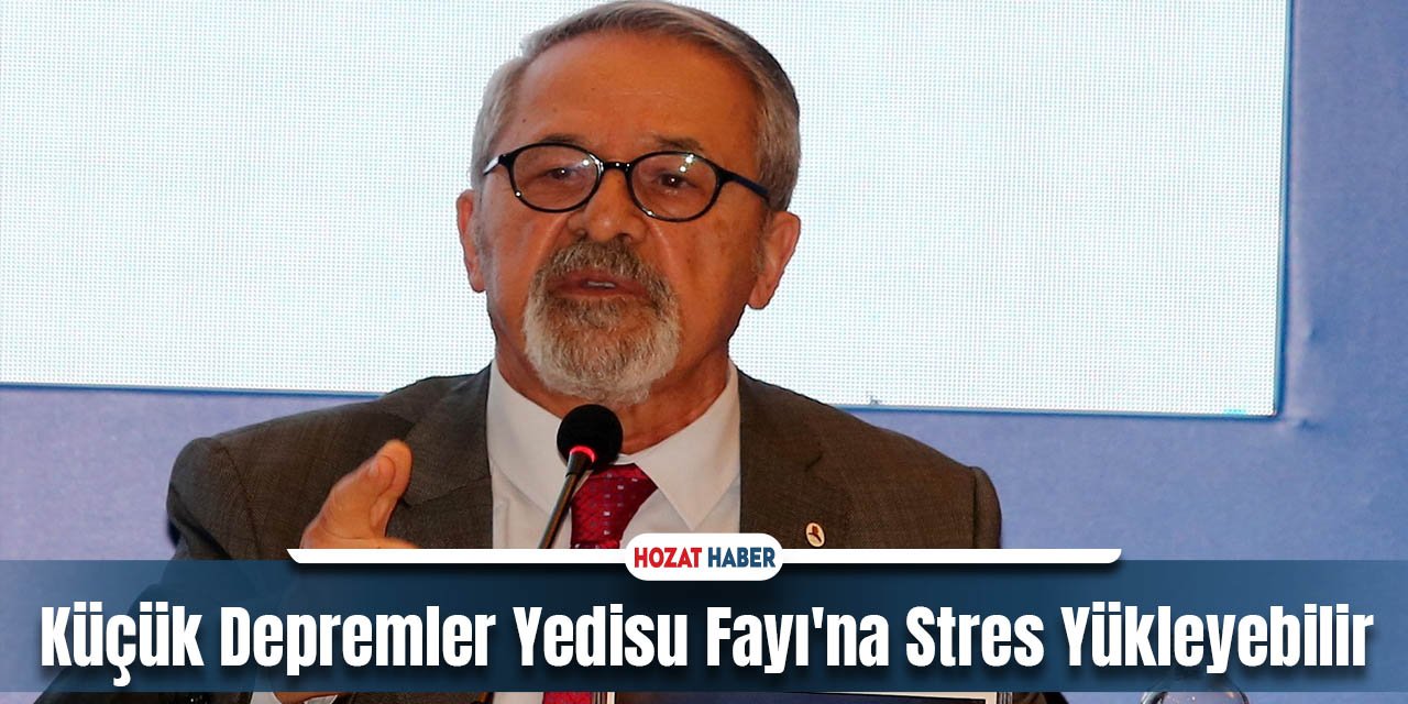 Jeolog Prof. Dr. Naci Görür: Küçük Depremler Yedisu Fayı'na Stres Yükleyebilir