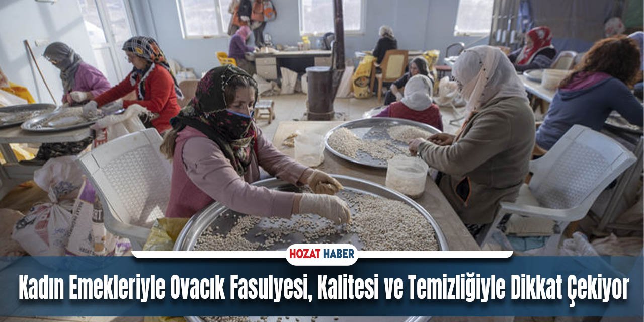 Tunceli'nin Organik Kuru Fasulyesi Kadınlarca Ayıklanıp İç Pazarda Satılıyor