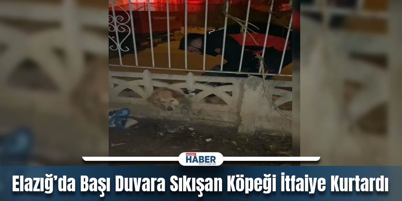 Elazığ’da Başı Duvara Sıkışan Köpeği İtfaiye Kurtardı