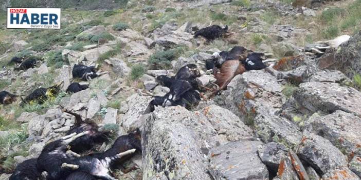 Bingöl'de sürüye yıldırım düştü: 51 keçi telef oldu
