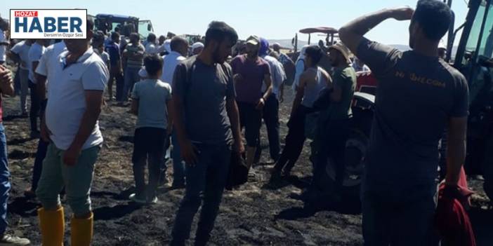 Diyarbakır'da 30 dönüm ekili alan yandı
