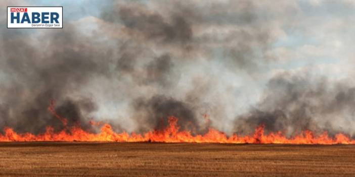 "Tekirdağ Malkara'da Yangın: 40 Dönüm Buğday Ekili Alan Kül Oldu"