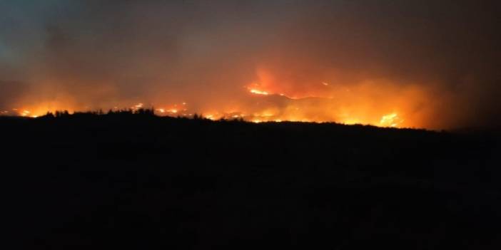 Mersin'deki orman yangını yayılmaya devam ediyor