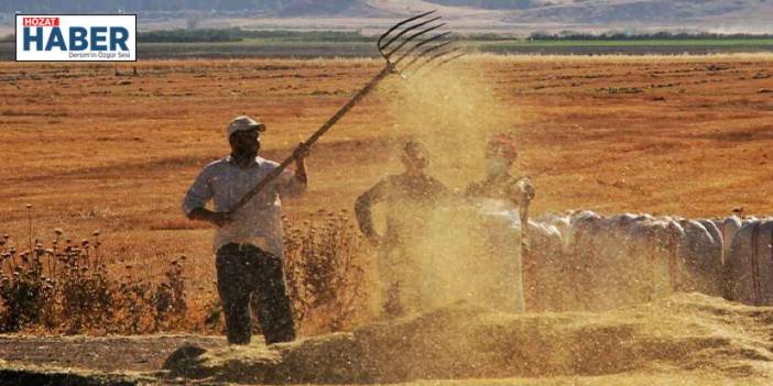 Erzincan'da Sıcak Yaz Günlerinde Çiftçilerin Zorlu Buğday Hasadı